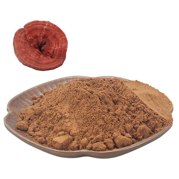 Discover the Science Behind Beta-Glucans in Reishi